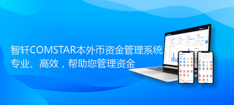 COMSTAR外币资金管理系统